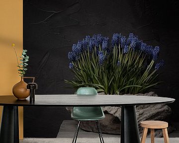 Rural still life with blue grapes in wooden bowl with linen canvas (vertical) by Mayra Fotografie