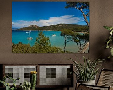 Bay on the Ile de Porquerolles in the South of France by Tanja Voigt
