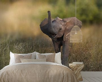 Baby olifant laat van zich horen van Tom Zwerver