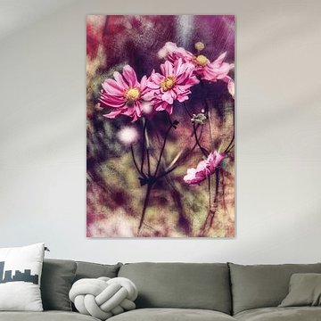 Anémone d'automne en lumière