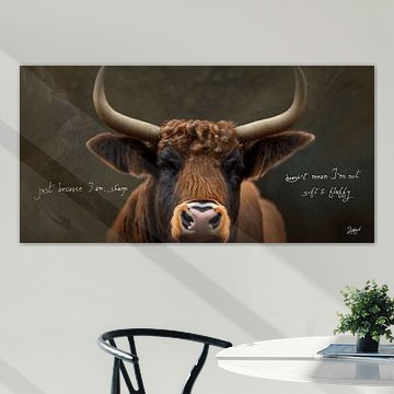 (Englisch) "Schottischer Hochländer, Spitz und Flauschig"