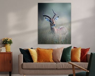 Impala tussen het lange gras. van Tom Zwerver