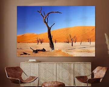 Deadvlei Namibia sur W. Woyke