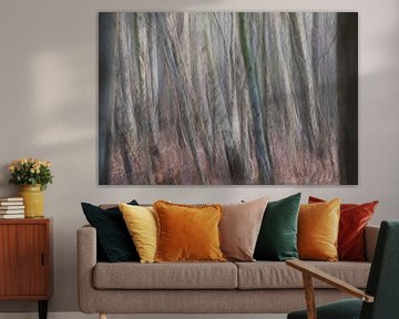 Birch forest ICM photography (horizontal)