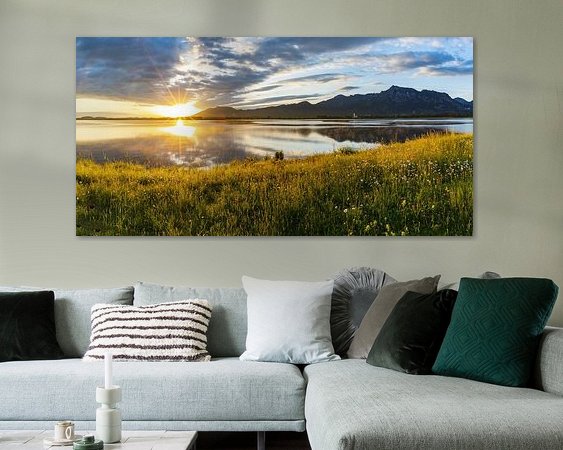 Aperçu de la chambre