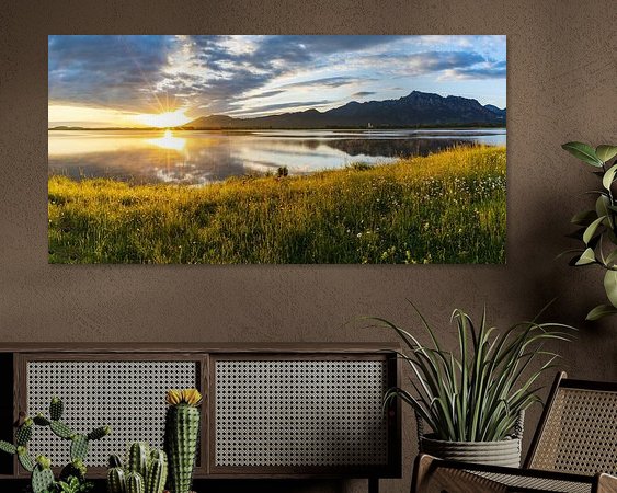 Aperçu de la chambre