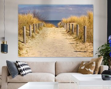 Beach path on the Baltic Sea on Usedom by Animaflora PicsStock