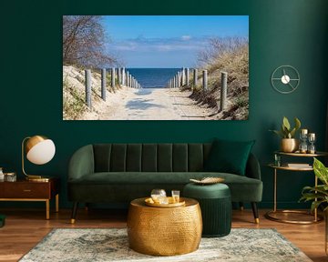 Strandweg an der Ostsee auf Usedom von Animaflora PicsStock