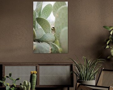 Cactus close-up met veel textuur van Milou Emmerik