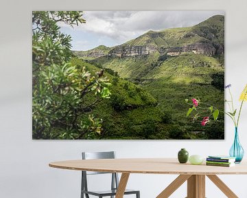 Groene bergen in Zuid-Afrika