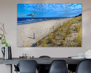 Strand auf Usedom mit Möwe von Animaflora PicsStock