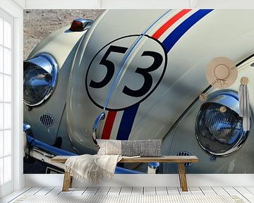 Dudu 53 een legende van Ingo Laue