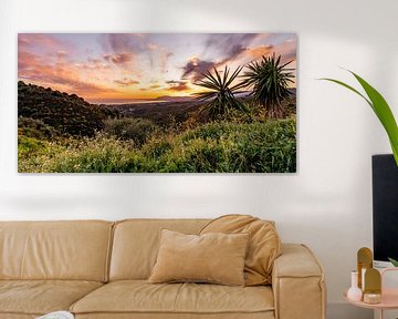 Point de vue avec palmiers, montagnes, mer et ciel coloré sur Dafne Vos