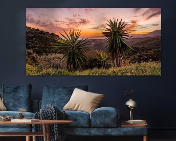 Two palm trees during sunset in the Spanish mountains by Dafne Vos