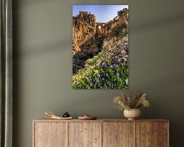 The bridge 'Puente Nuevo' and flowers by Dafne Vos