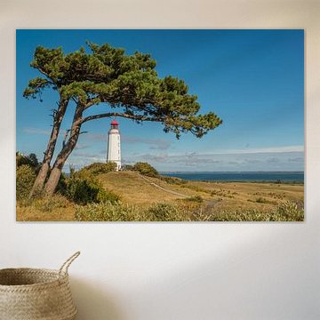 Phare Dornbusch | Hiddensee