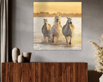 Laufende Camargue-Pferde (Farbe) von Kris Hermans