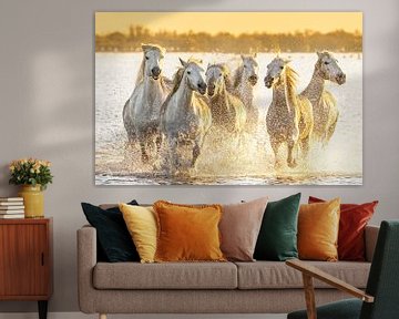 Action at the Camargue horses from the sea/lake (colour) by Kris Hermans