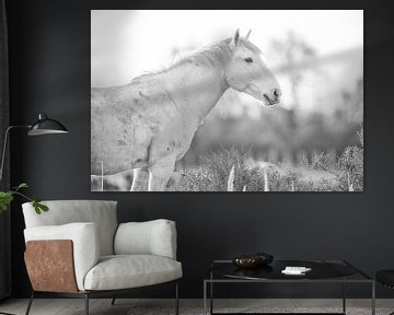 Camargue paard (zwart wit) van Kris Hermans