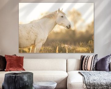 Camargue Paard (kleur) van Kris Hermans