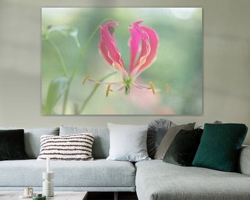 Gloriosa bloem van Marlonneke Willemsen