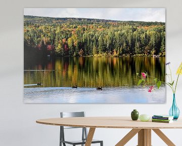 Enten auf dem See im Herbst von Claude Laprise