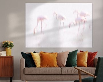 La Vie en Rose (III) Flamingos in the Camargue. by Kris Hermans