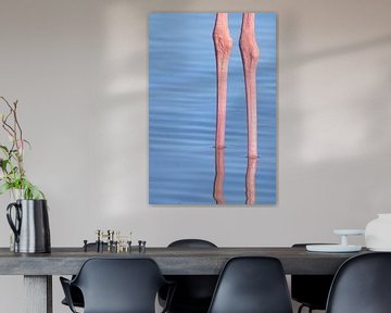 Rimpels op een Camargue flamingo (poten) van Kris Hermans