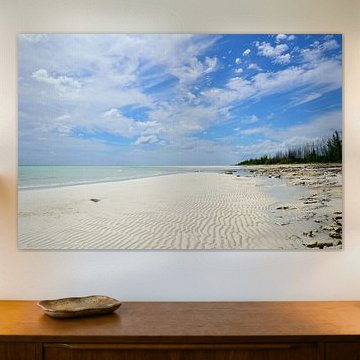 Gotta love this beach