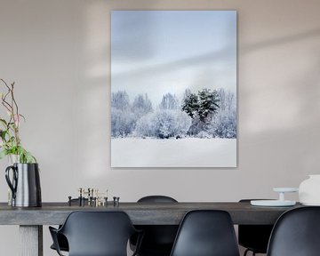 Bevroren schilderij met een vleugje kleur van Steven Driesen