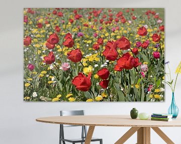 rote Tulpen in einem bunten Feld von W J Kok