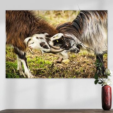 choisissez vos batailles