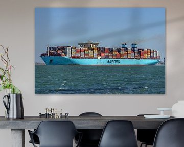 Container ship the Mogens Maersk. by Jaap van den Berg