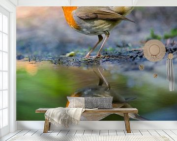 Robin reflection by Kingfisher.photo - Corné van Oosterhout