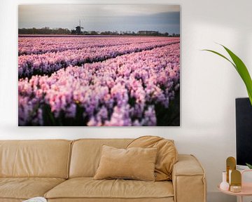 Roze hyacinten van Martijn Tilroe