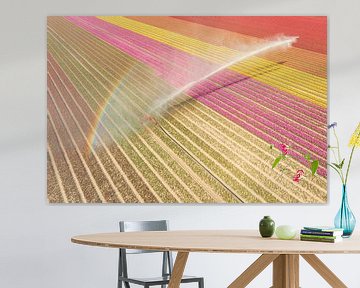 Tulpen in een veld dat besproeid wordt door een landbouwsproeier van Sjoerd van der Wal
