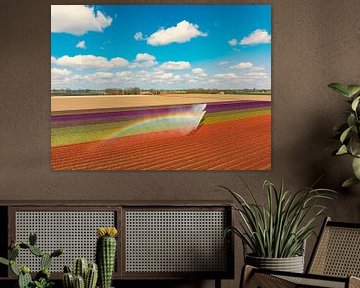 Tulpen in een veld dat besproeid wordt door een landbouwsproeier van Sjoerd van der Wal Fotografie