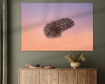 Starling murmuration with flying birds in the sky during sunset by Sjoerd van der Wal Photography