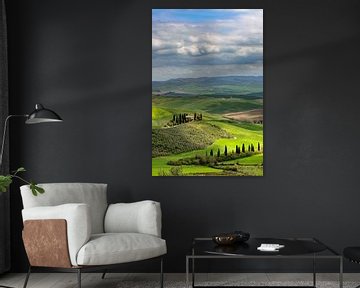 Lente in de Val d'Orcia van Dirk Rüter