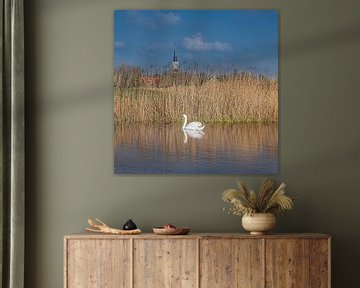 Weißer Schwan in einem Graben mit Kirchturm Cornwerd in Friesland von Harrie Muis