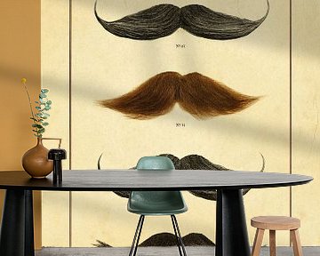 Catalogue de Moustaches von Martin Bergsma