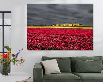 Tulip train by peterheinspictures