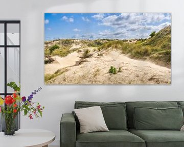 Dune with drifting dunes in the Amsterdam water supply dunes by eric van der eijk