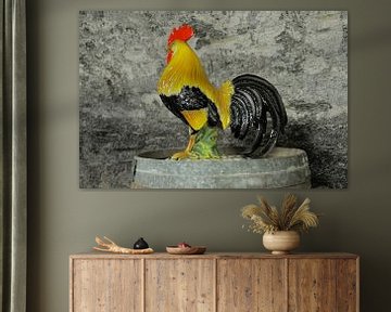 Rooster von Twan van G.