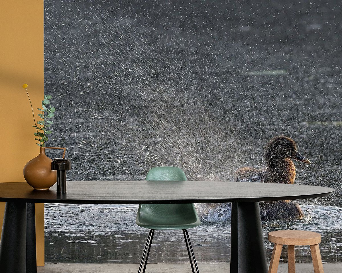 Raumvorschau
