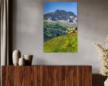 Großer Wilder, Allgäuer Alpen van Walter G. Allgöwer