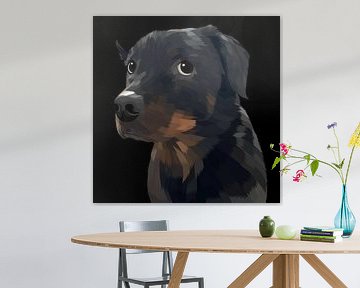 black dog glance by mshel tyan