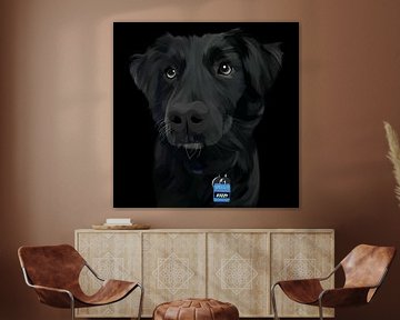zwarte hond van mshel tyan