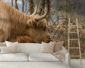 Schotse Hooglander met haar schattig jong kalfje van Ans Bastiaanssen