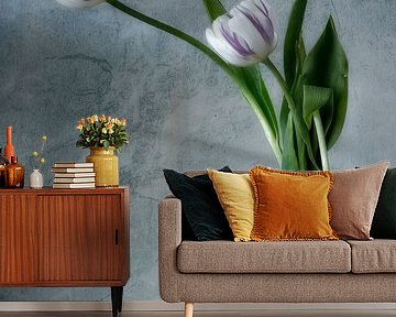 Fine art photography of three Tulips on vase.